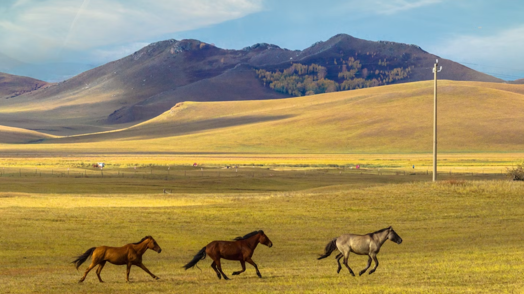 Photo: xiaoyun wu / Shutterstock